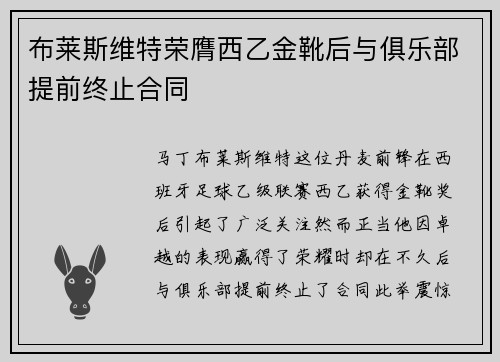 布莱斯维特荣膺西乙金靴后与俱乐部提前终止合同